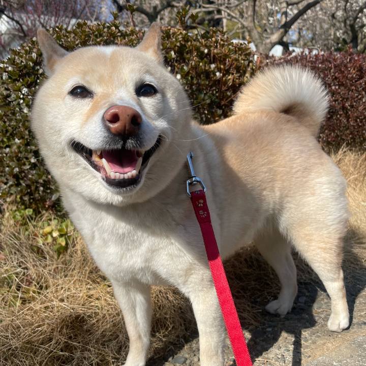 Bb1c3557 7ebf 4082 b68a aef4e571af92 1740725449494