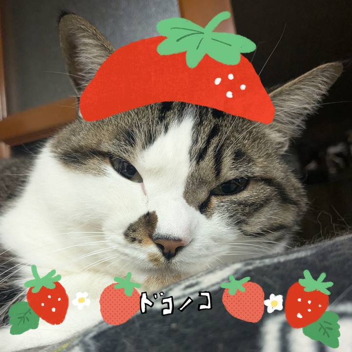 Bb1c853c 51ed 4d36 86ad 1056e7f1c87a 1775220852535