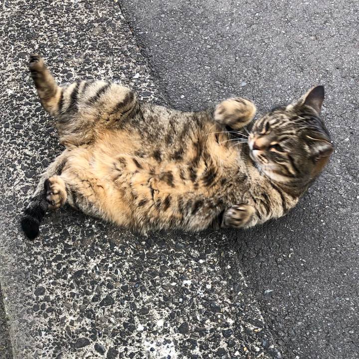 Bb1c8f13 dacf 4529 8ec9 0d72536159d4 1550141673694