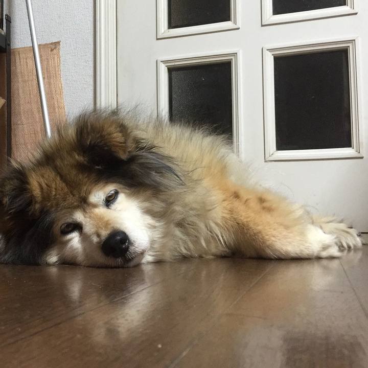 Bb1c93b7 c666 4d1c a589 b977530a3e31 1583540772141