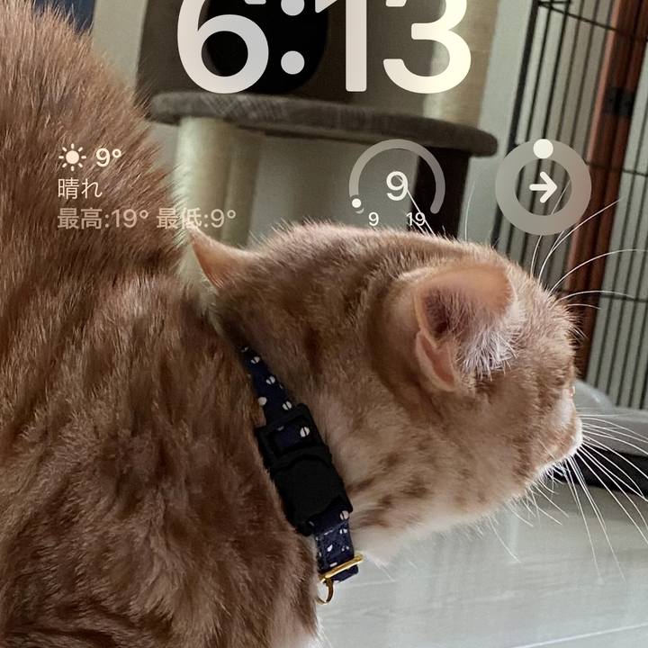 Bb1cdefb 9d9f 4507 9a09 9bc21e87072a 1681334062793