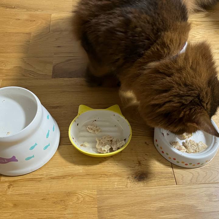 Bb1d099e 50ad 42ec b87a 37e8c5110e9c 1691315472241