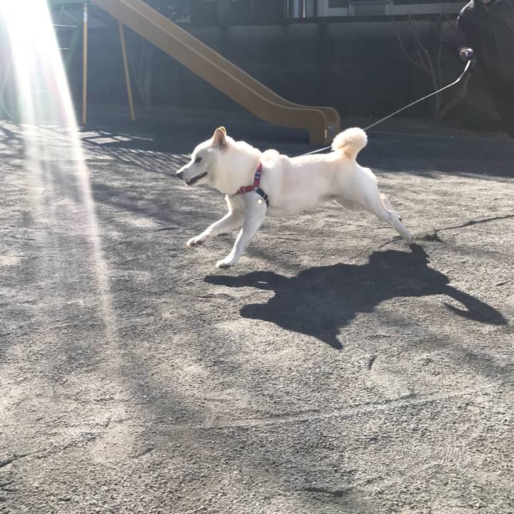 Bb1d3c51 45f4 4e14 9894 571e7c585e61 1515220792370