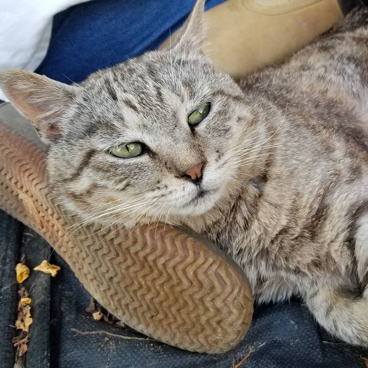 Bb1d405a 25e7 47d0 bd23 a551af6e2095 1690545779712