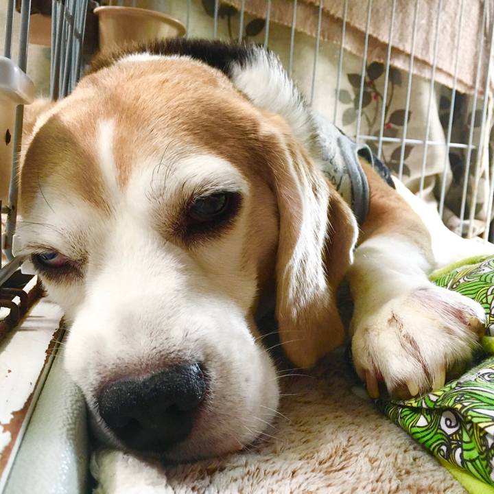 Bb1d7955 4040 4e50 bb98 841a68b5b6ae 1569729112102