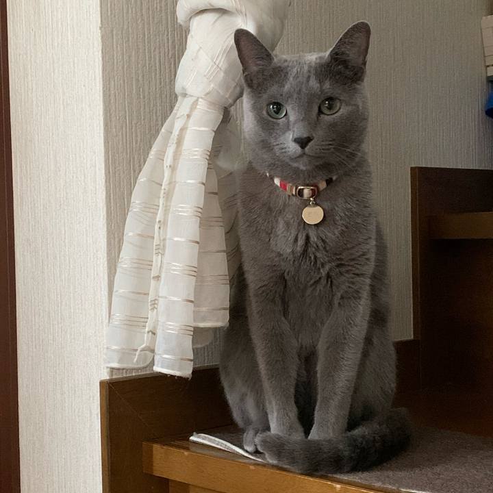 Bb1daa80 ce1c 4402 85f9 79329fda3fc1 1669811955054