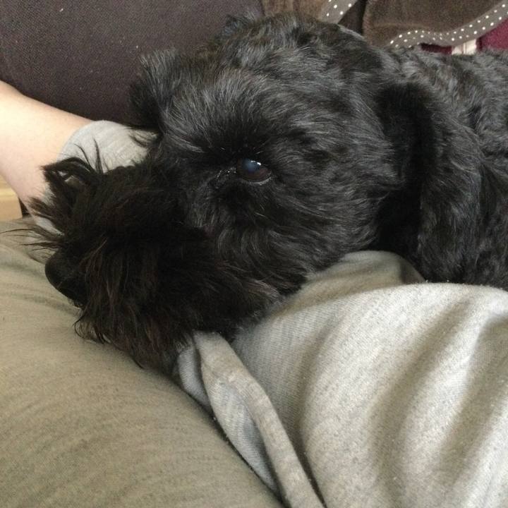 Bb1dba8a 4706 4b14 8f5a e73e265f591e 1647653437552