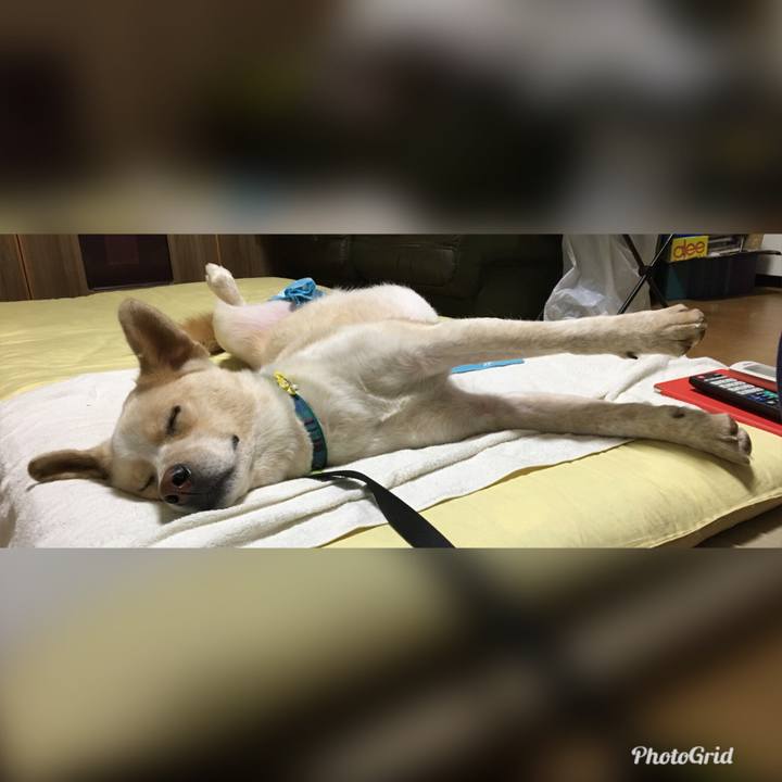 Bb1df688 35be 417d 937d 23a659aea118 1530022011627