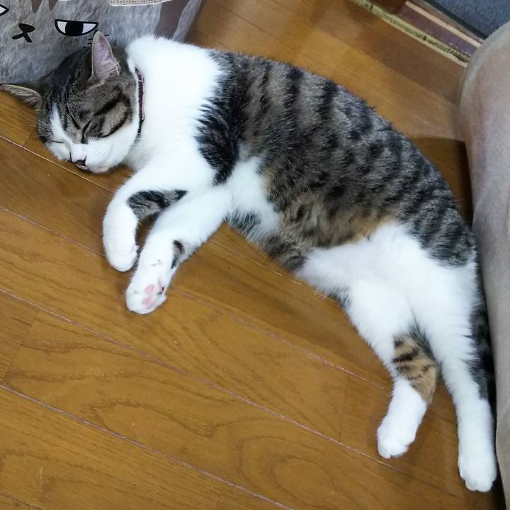 Bb1df9c7 ad66 478a b579 e3d965673d47 1622030189619