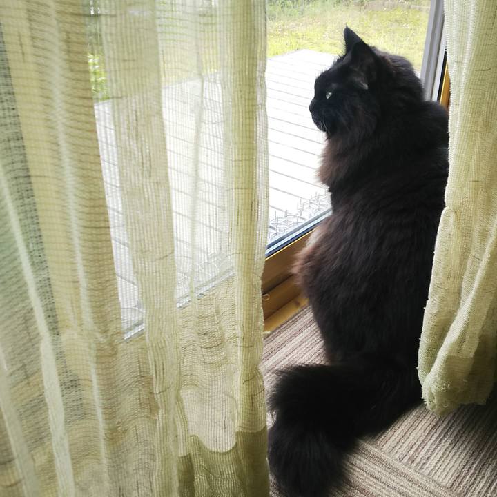 Bb1e3851 a76c 4017 897c d8c44b469b42 1560039617730