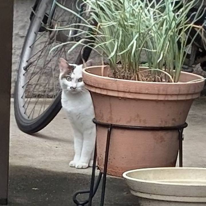 Bb1eaf92 2cca 488b be9d 92db40607954 1719795489979