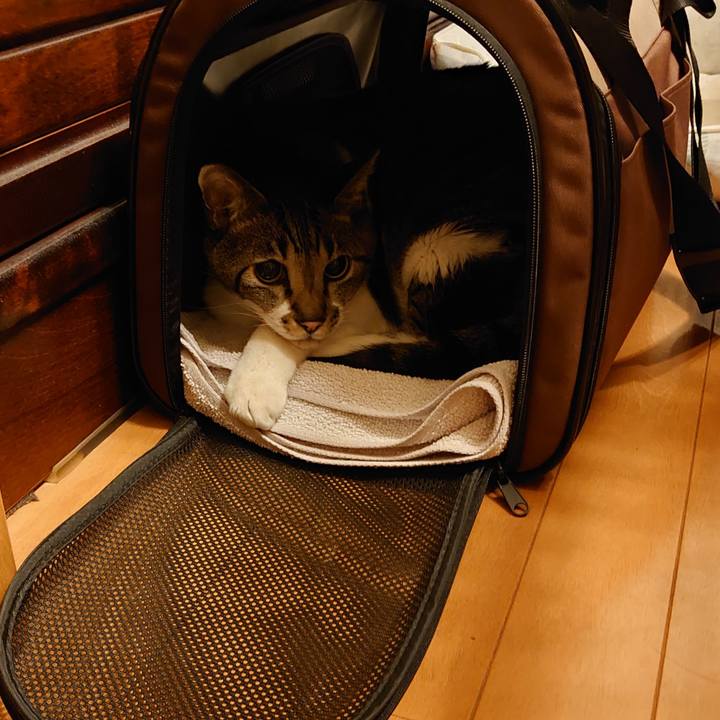 Bb1eb97c b2f0 4b17 ba78 03b99cdfaa32 1736914981136