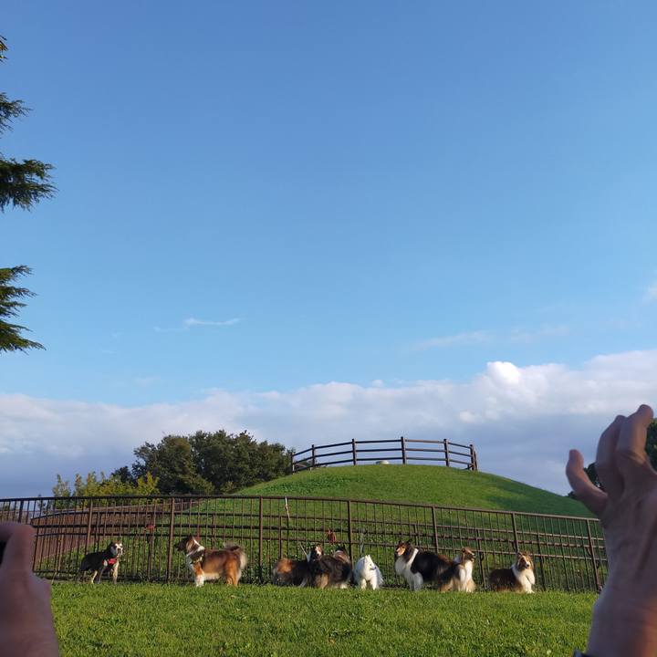 Bb1f1344 9ebf 40a0 8605 ebe1f51b5cef 1704724629393