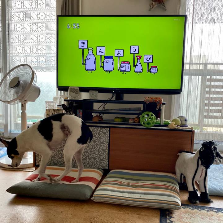 Bb1f482d 17c9 44bf 828c b8ab38207fa8 1624573227009