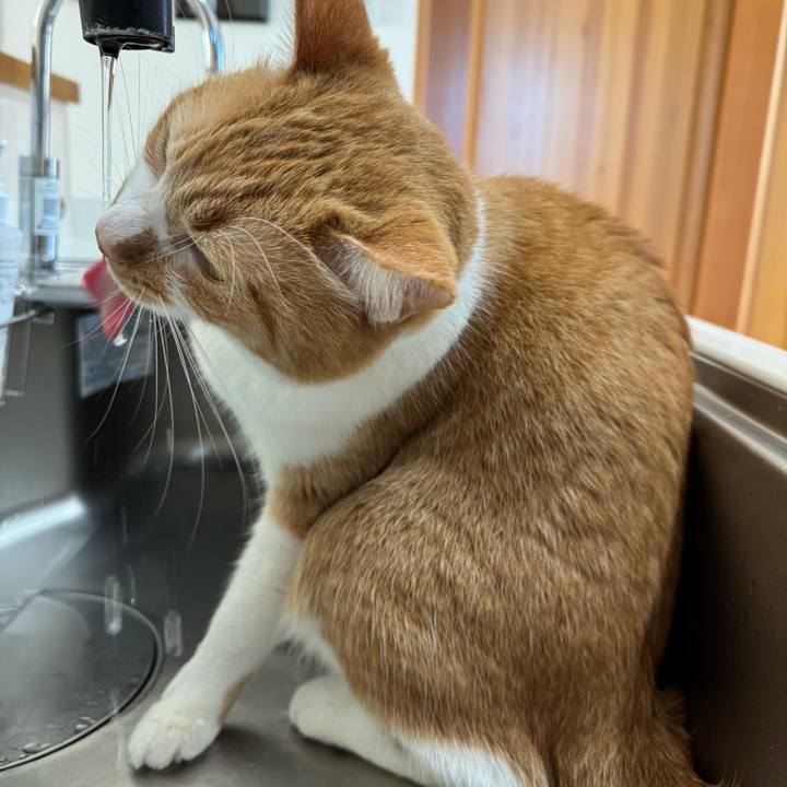 Bb1f63cf 7c0b 416e a61b 9184cc74b17b 1769918628167