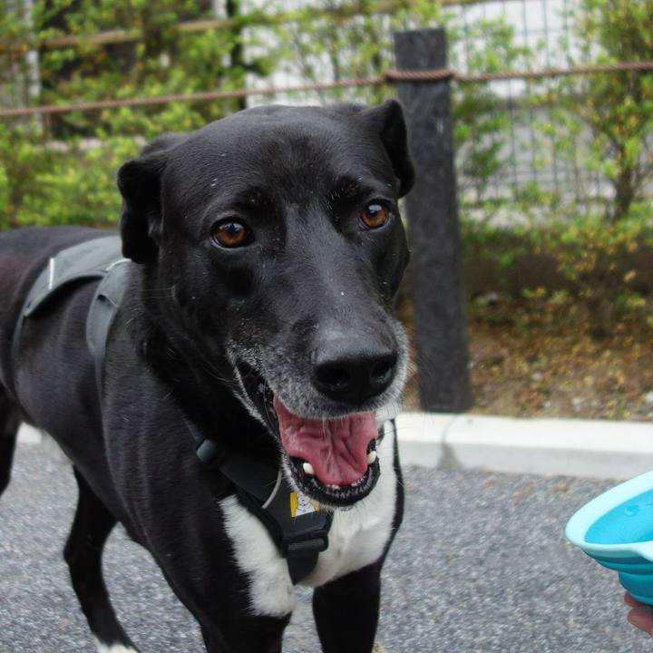 Bb1f8726 770b 4d04 98ee 3de1d7b2b4b8 1652055041820