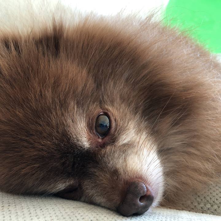 Bb1f97b3 8231 43ef 92be ef7371509d4d 1603842251816