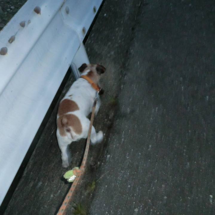 Bb1fcde8 1704 429c ab72 719cc57a0da0 1565692610749