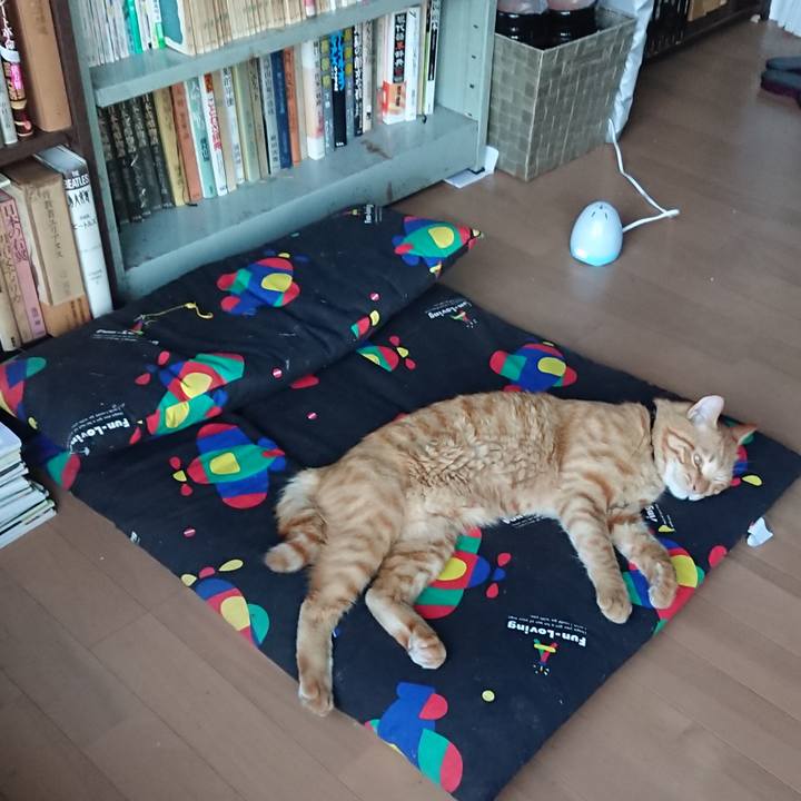 Bb1fda9f 5384 45c1 a1d0 1a54298a9b92 1662454803714