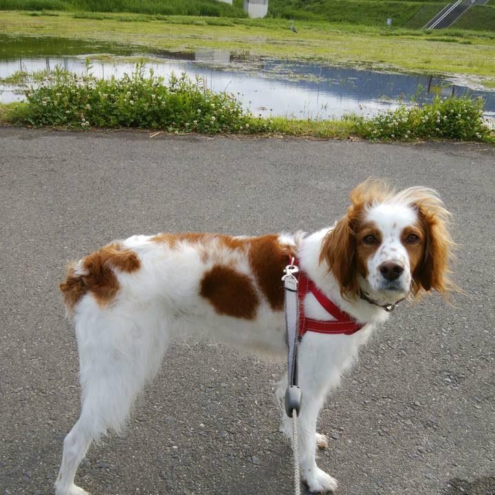 Bb1fecd2 a1e7 492f 8f18 ecaed21266c7 1525737971346