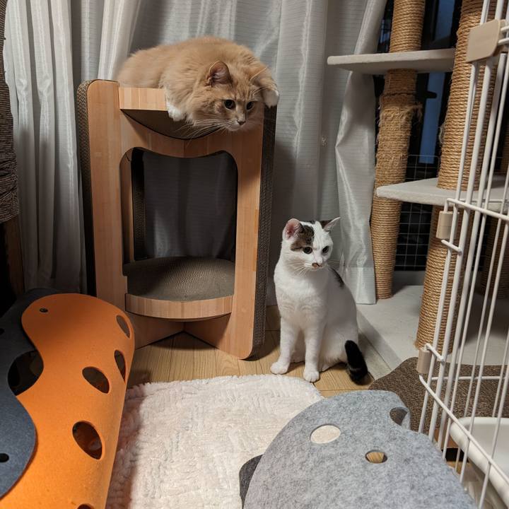 Bb1ff69e 8fe6 463a 97f4 f855748defc2 1701260212565