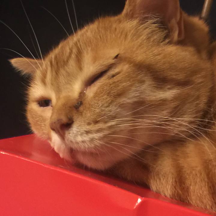 Bb1fff76 b604 4bfd ad3f feb16d8dfb5e 1559826366919