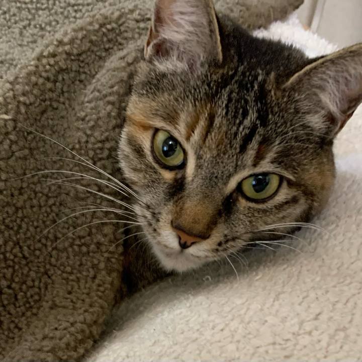 Bb2015aa 540b 4efd 903f ccbb49ff9a87 1647593112156