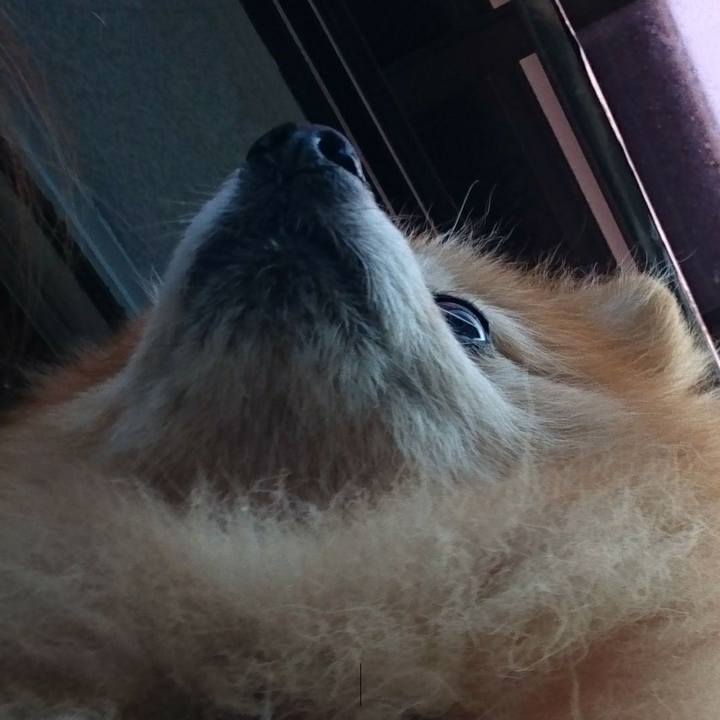 Bb2018f2 2a42 40e4 b3f1 92a9a1fbbd84 1512344302099