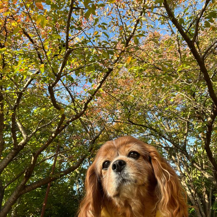 Bb201d4f e90d 4446 8bf2 f631a5fe1b47 1762824460288