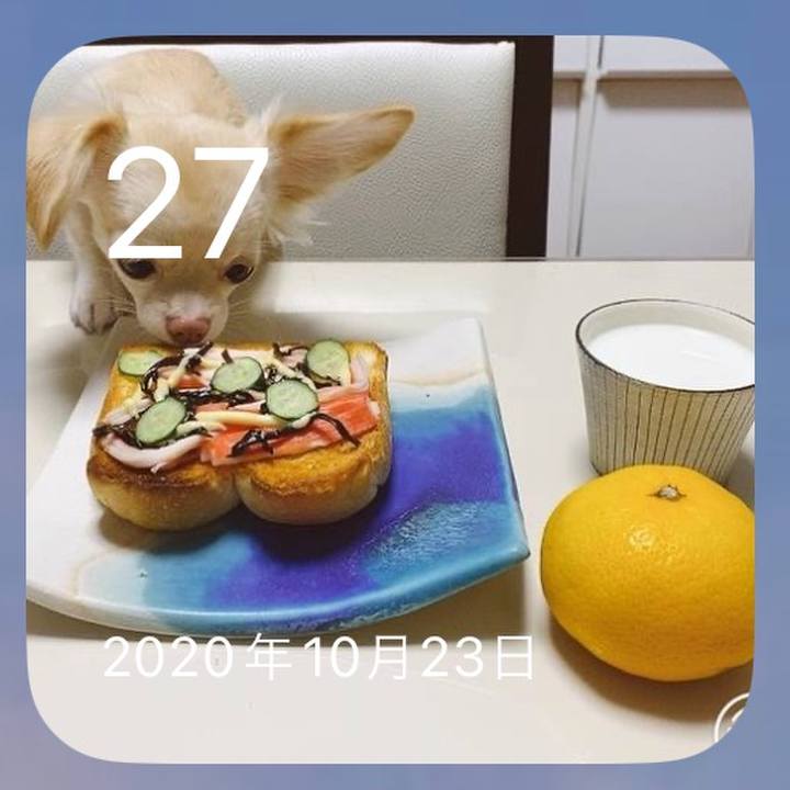 Bb2023cf 9ef4 4531 b505 2e096488caff 1666868602868