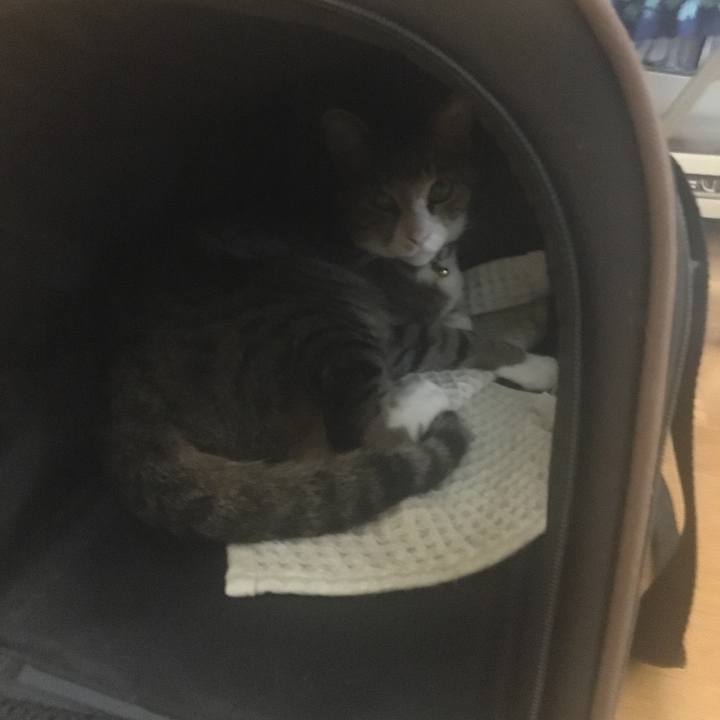 Bb202821 1701 4f16 b5fd 1abfd422dc5b 1690850643863