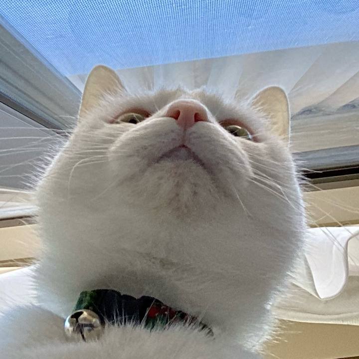 Bb202a40 9c65 4fad 9168 dfb2d74fb94e 1671835708138