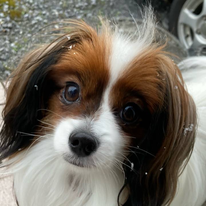 Bb206e3e 9f47 4508 9b49 4b58584db0ae 1637709105401