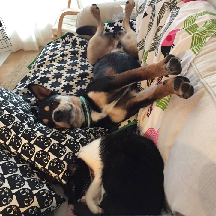 Bb20acf3 e5be 4db3 a60c fd1fd028d913 1521160156430