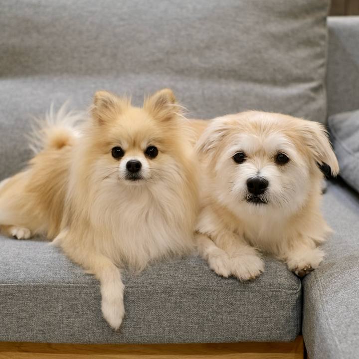 Bb20b822 df1b 470b 96fe 9f0185bca265 1763245580232