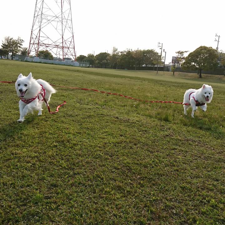 Bb20def3 8ea3 4686 be95 bf075e6f38d7 1555834048218