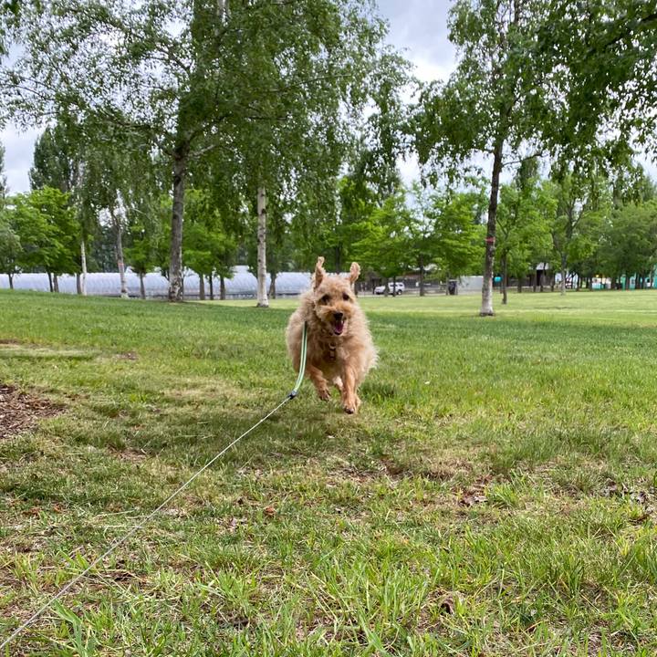 Bb212244 b2ca 41f2 9144 fbc27fe5b407 1653613087097