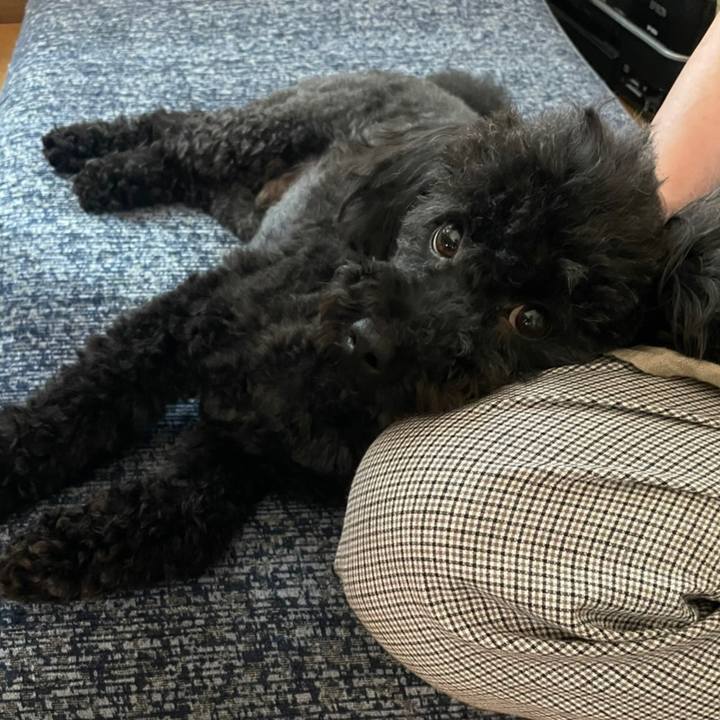 Bb2140da 164c 4ae3 8068 f46c24f0179d 1628930482745