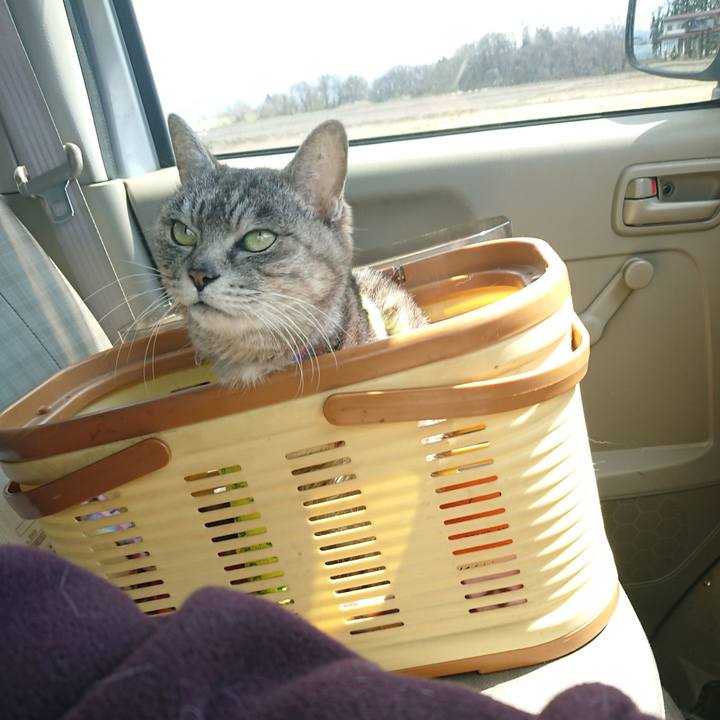 Bb214ad2 566a 4c48 a559 1490568510e7 1586398638925