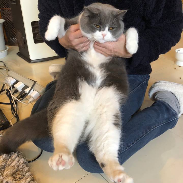 Bb214fb8 8d46 43bb 9e75 b6871dfcc642 1549017741031