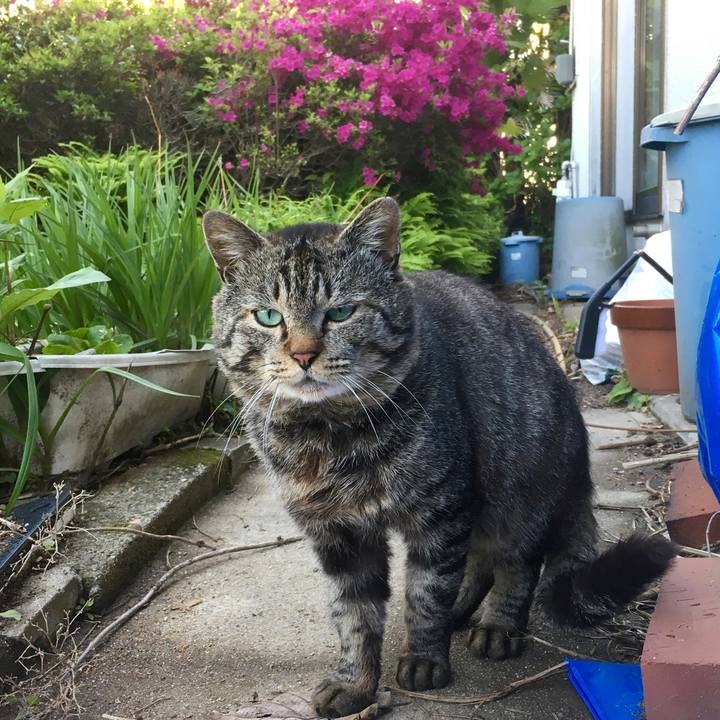 Bb215e72 cdf2 46f9 9e07 f9a4f9b6cca1 1620286131417