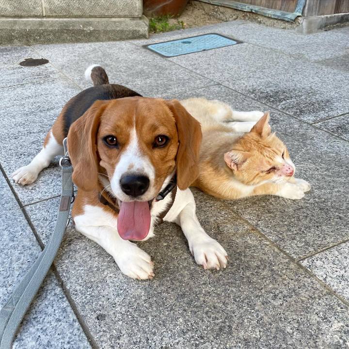 Bb2178f8 e755 4068 9089 18b0ffe34222 1660565793041