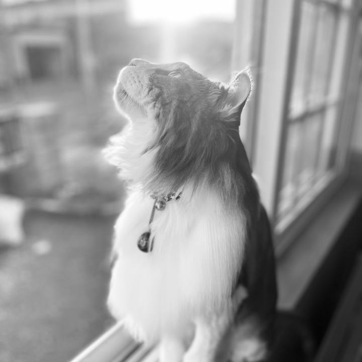 Bb21a282 8752 40ab 8212 1ee9ed69bdc3 1721421142863