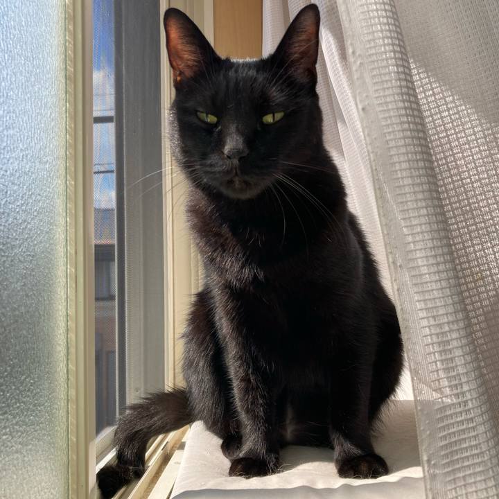 Bb21c493 8361 4ebd 8c04 b4469c2f394c 1764401752218