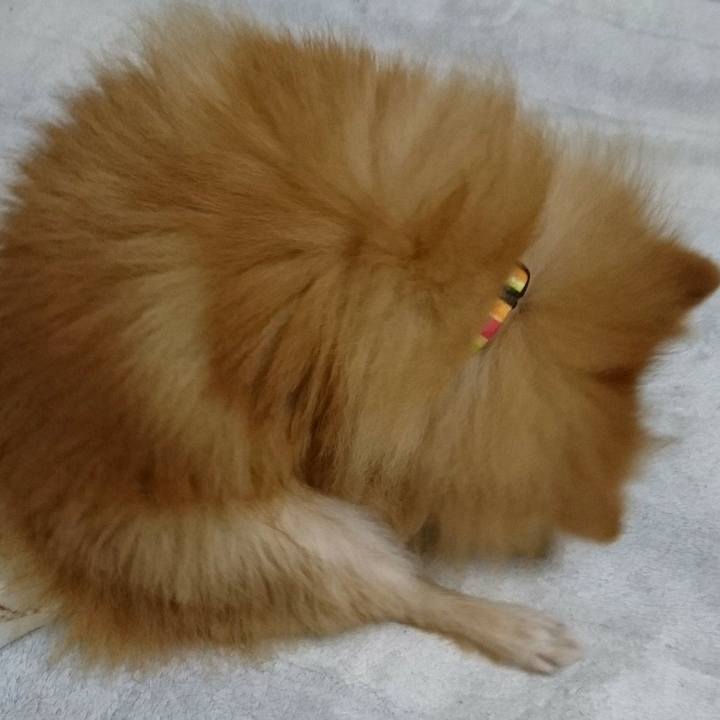 Bb21dc89 d2d5 4862 bb27 6ee236a67f20 1515846478133