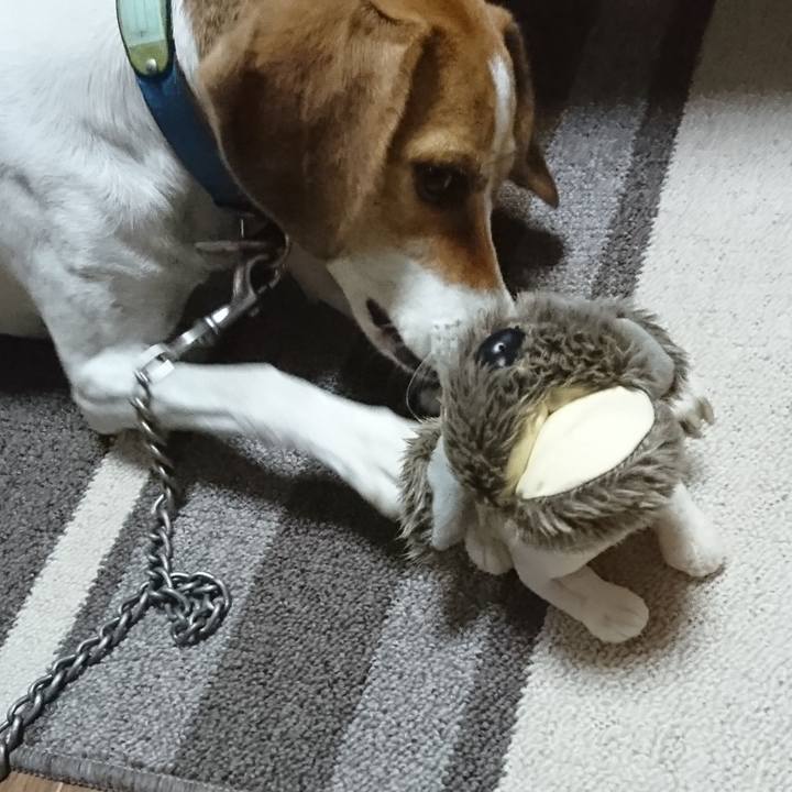 Bb21e12c 2f8a 4fad a4b7 1e718095482b 1571828323204