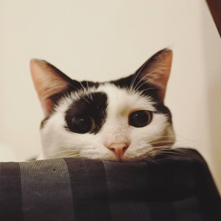 Bb221445 ddfb 4514 97b2 64e966e63492 1537280668218