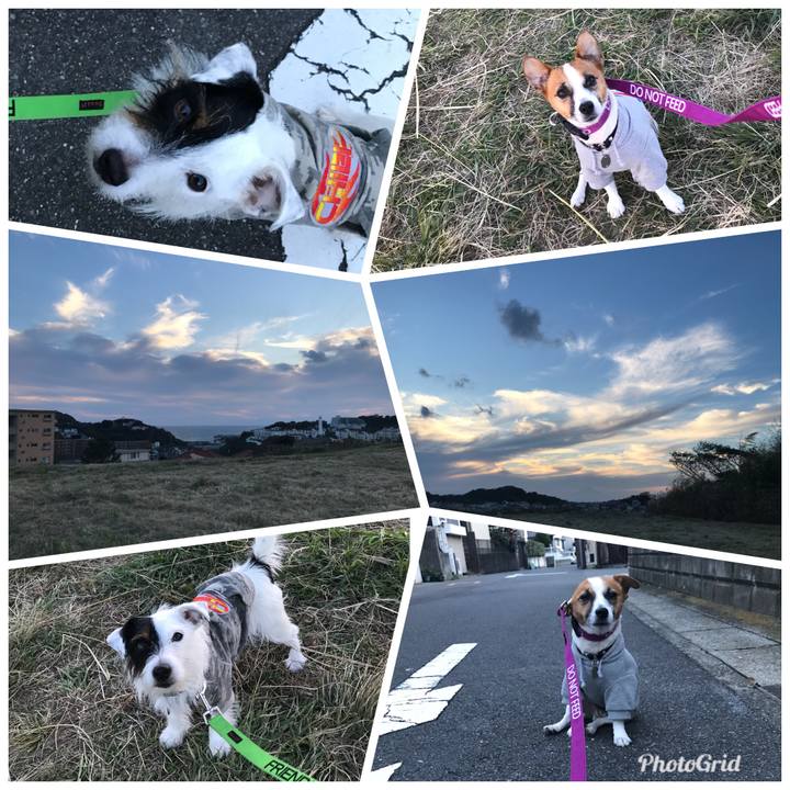 Bb221ec2 4347 41eb 8af1 3d94dacfb399 1510042111000