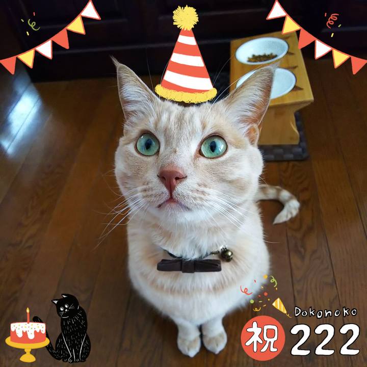 Bb2282bf ed56 43ce b355 42aa6471f714 1645494305893