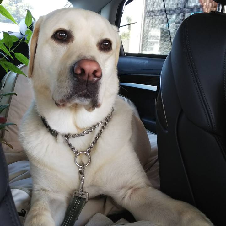 Bb228a9c 1032 4fc2 b091 5aa8f1d1b302 1527902086449